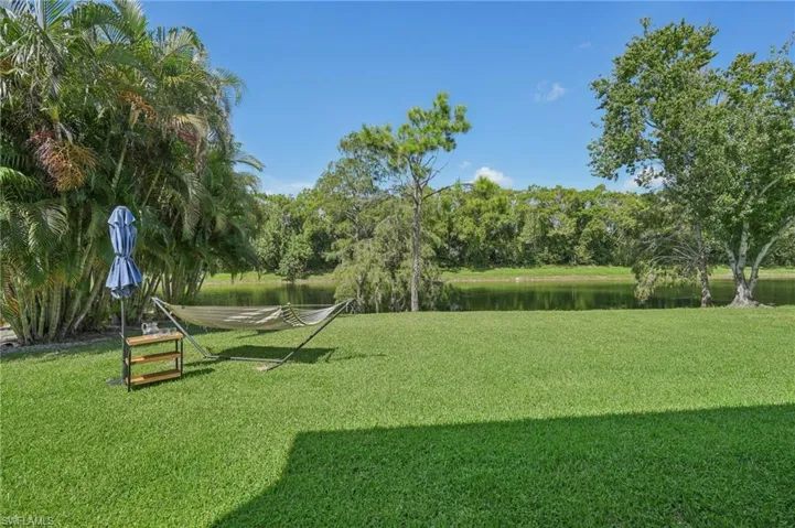 Backyard view