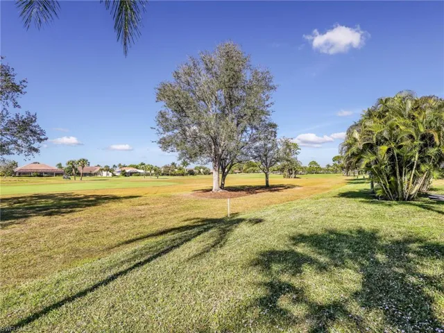 View of green lawn