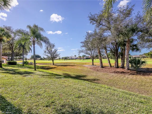 View of grassy yard
