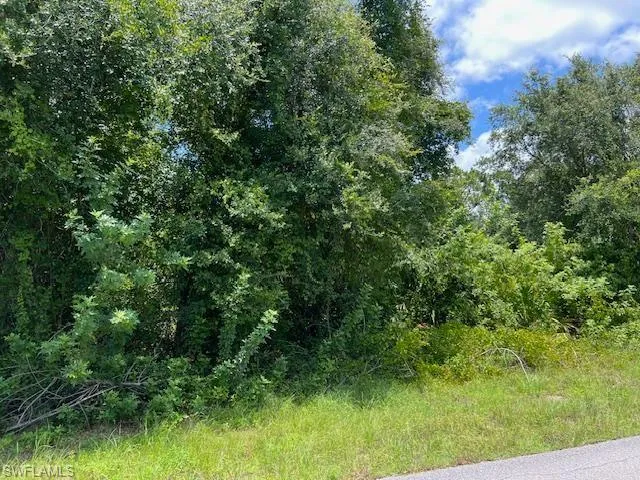 View of nature