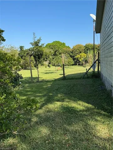 View of yard