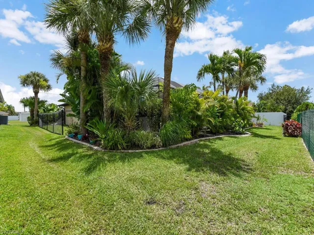 Landscaped For Privacy Around Pool Cage