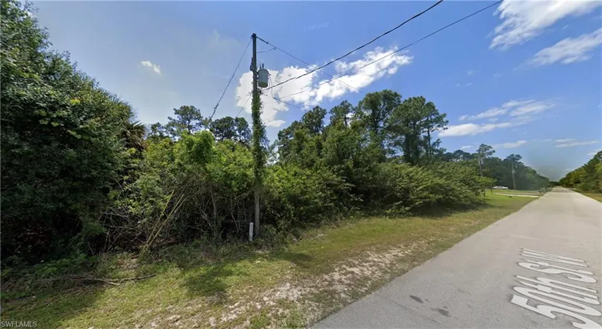 Wooded parcel with established trees and natural foliage