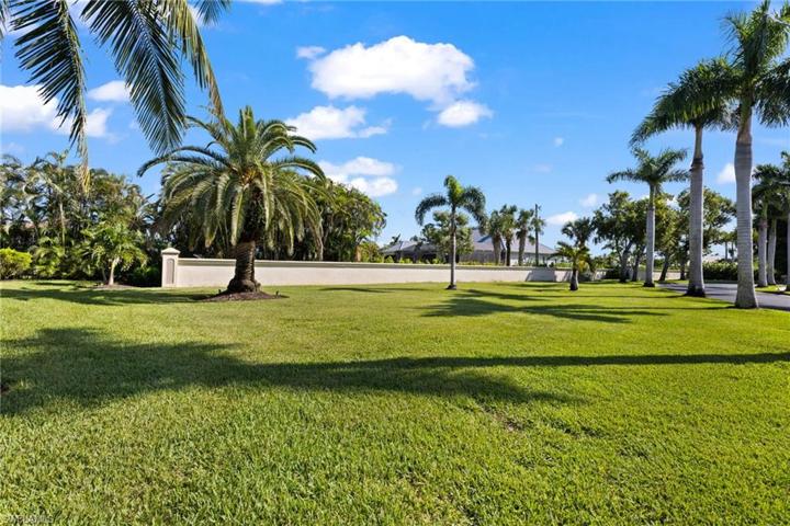 Large Backyard