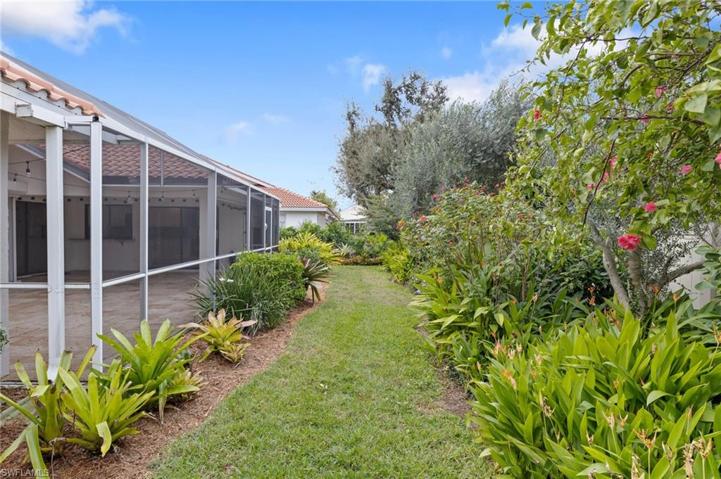 Rear yard