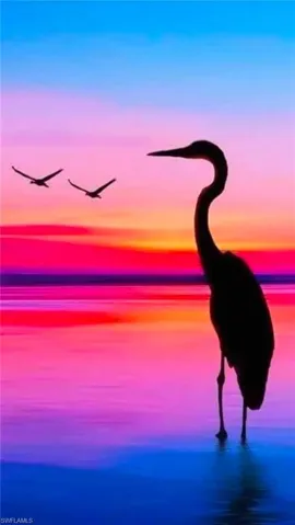 The colors of Naples are breathtaking and so close to Tarpon Cove.