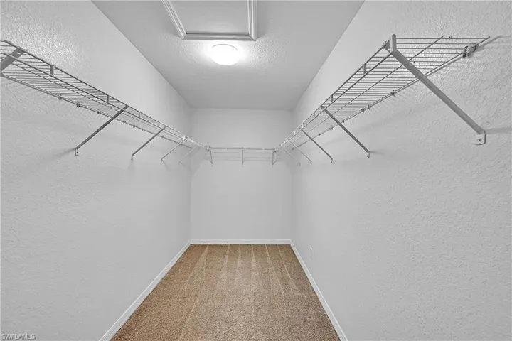 Spacious closet featuring light carpet