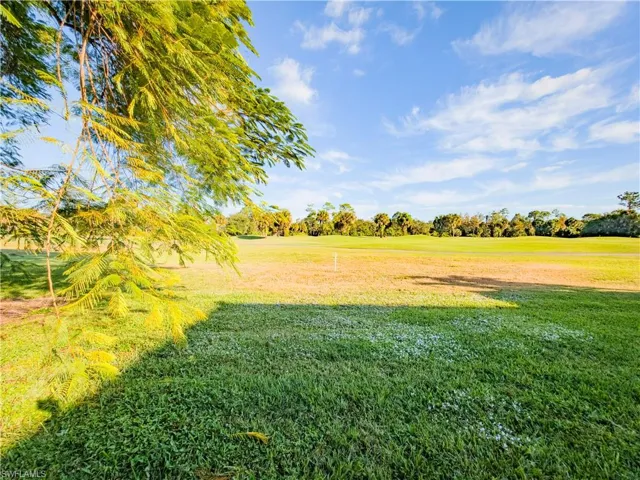 View of grassy yard featuring view of scattered trees
