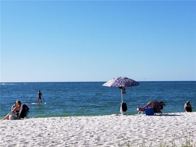 Paddle Board Naples Florida