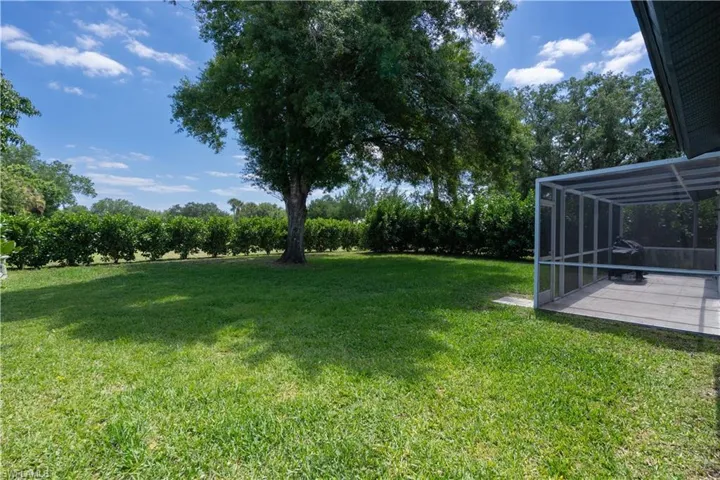 The backyard has privacy landscaping and lots of room for the family to spread out/run around in.