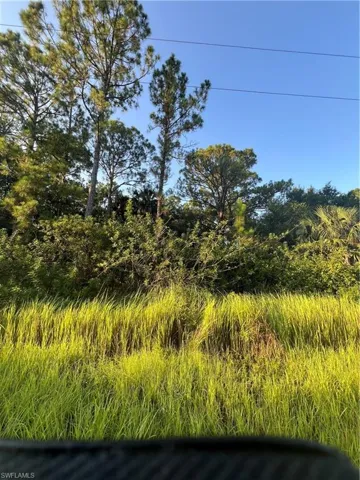 View of nature
