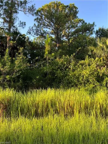 View of nature