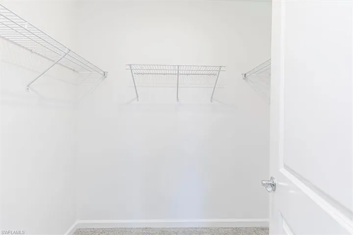 Walk in closet featuring carpet floors