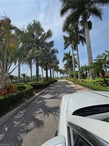 Tree Lined Entrance