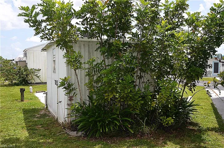 Rear View of the Shed