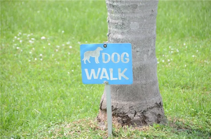 Dog's Trail