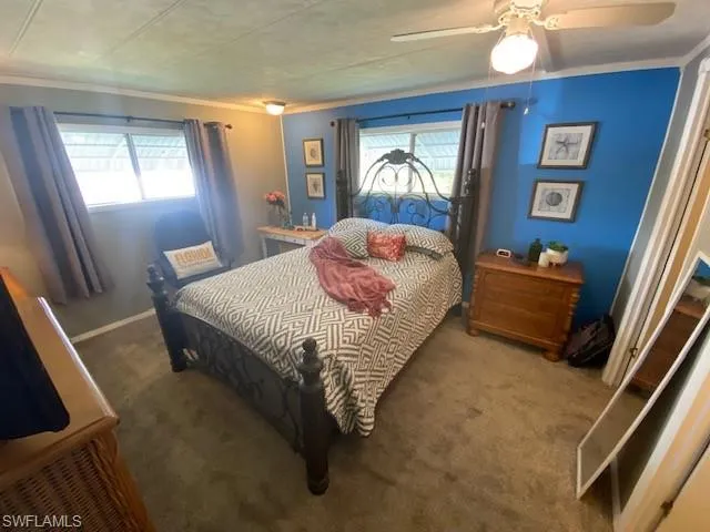 Bedroom with dark colored carpet, crown molding, and a ceiling fan