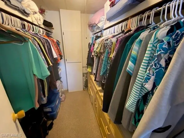 Walk in closet featuring light colored carpet