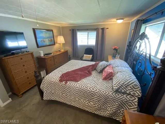 Bedroom with crown molding and carpet flooring