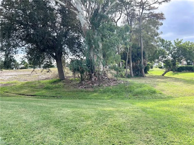 Yard