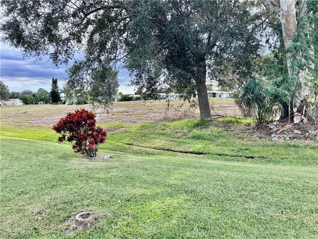 Yard