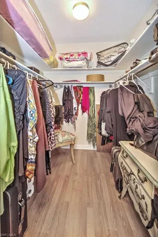 Spacious closet featuring light hardwood / wood-style flooring