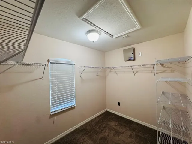 Walk in closet featuring carpet and attic access