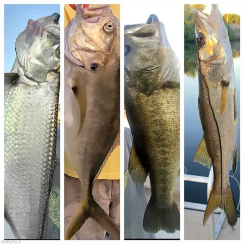 Fish caught at your own dock!