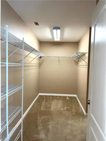 Walk in closet with carpet