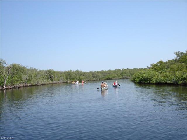 Kayaking, Canoeing & Paddleboarding