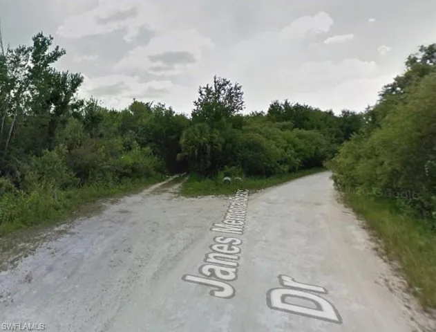 View of dirt / gravel road with a forest view