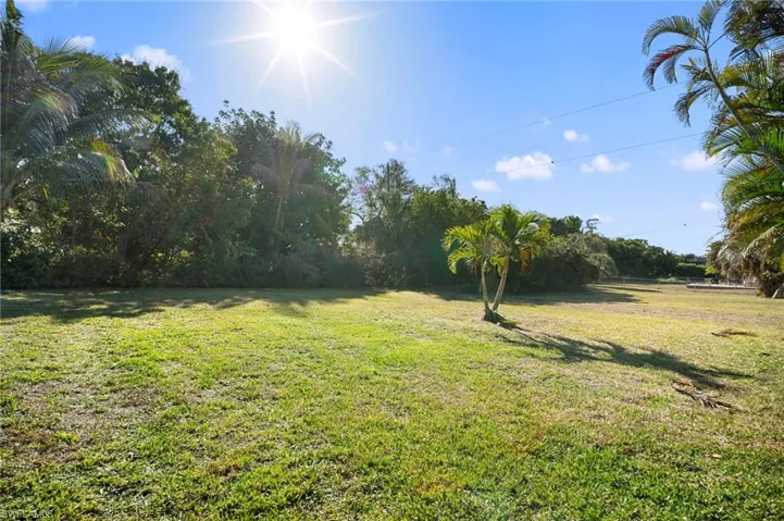 View of grassy yard