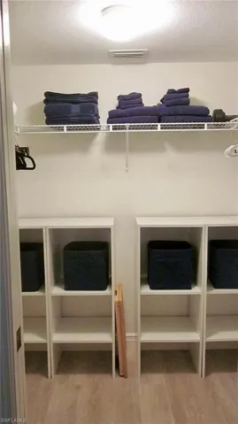 Spacious closet with light wood-style flooring