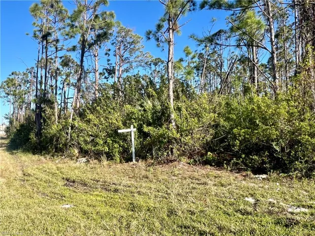 15249  Red Head  AVE, Port Charlotte, FL 33981