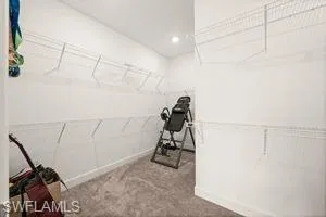 Walk in closet featuring carpet floors