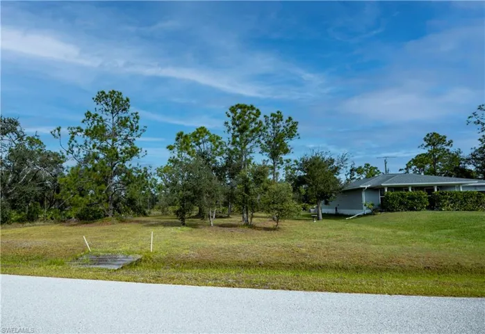 View of grassy yard