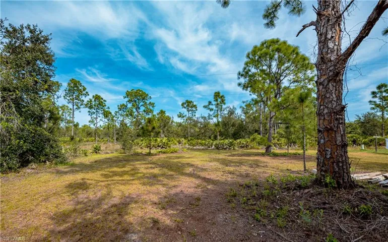View of cleared lot
