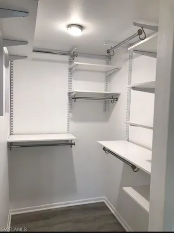 Spacious closet with dark wood-type flooring