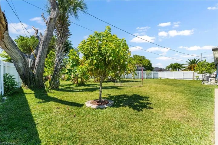 Expansive grass lawn featuring a young tree with a stone-edged base and mature tropical trees