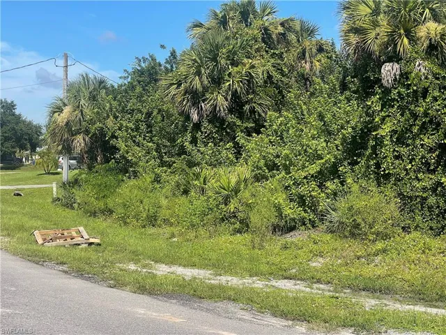 View of asphalt road