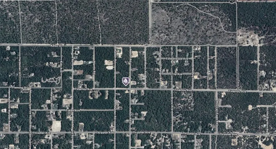 11269  Tinamou  AVE, Weeki Wachee, FL 34614