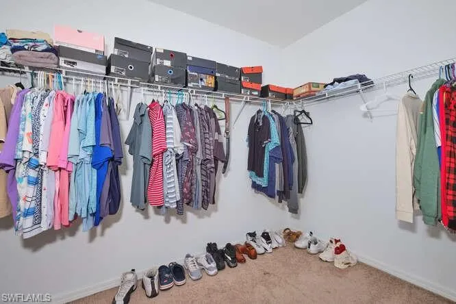 Spacious closet with carpet flooring
