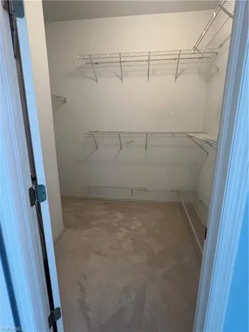 Spacious closet with carpet flooring and visible vents