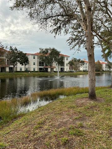 Lake view
