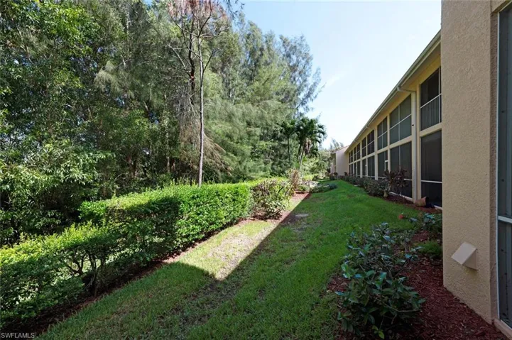 back yard area
