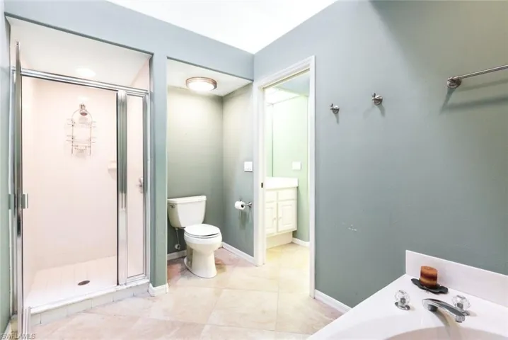 Primary Suite Spa Bath, Separate Tub and Step In Shower, Pocket Door