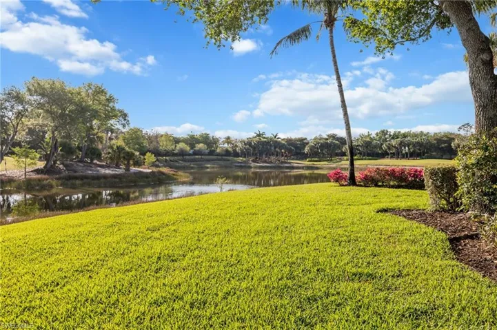 green space behind lanai