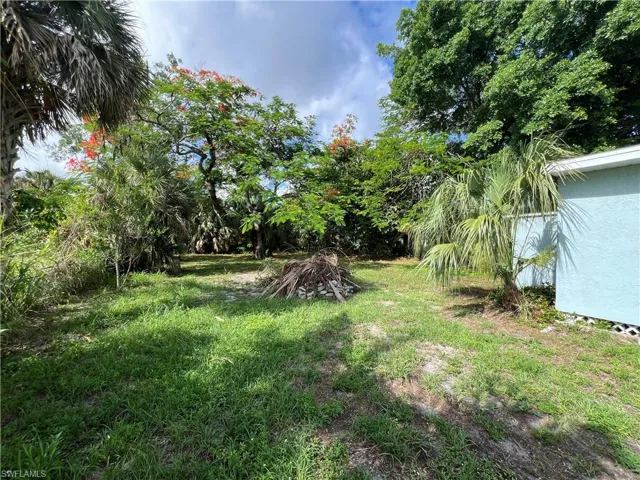 View of side yard.