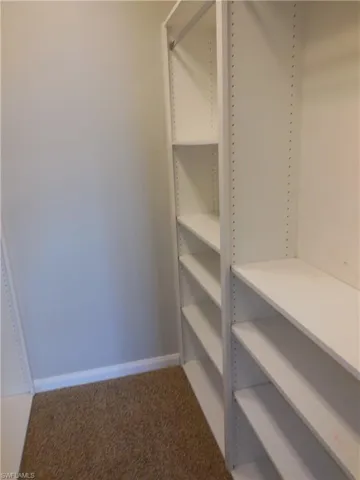 Walk in closet with carpet