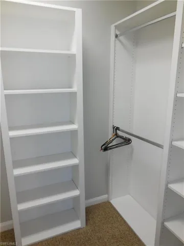 Spacious closet with carpet flooring